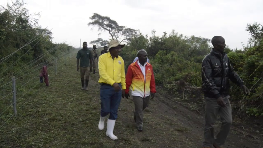 Installation of Electric fence on Queen Elizabeth National Park